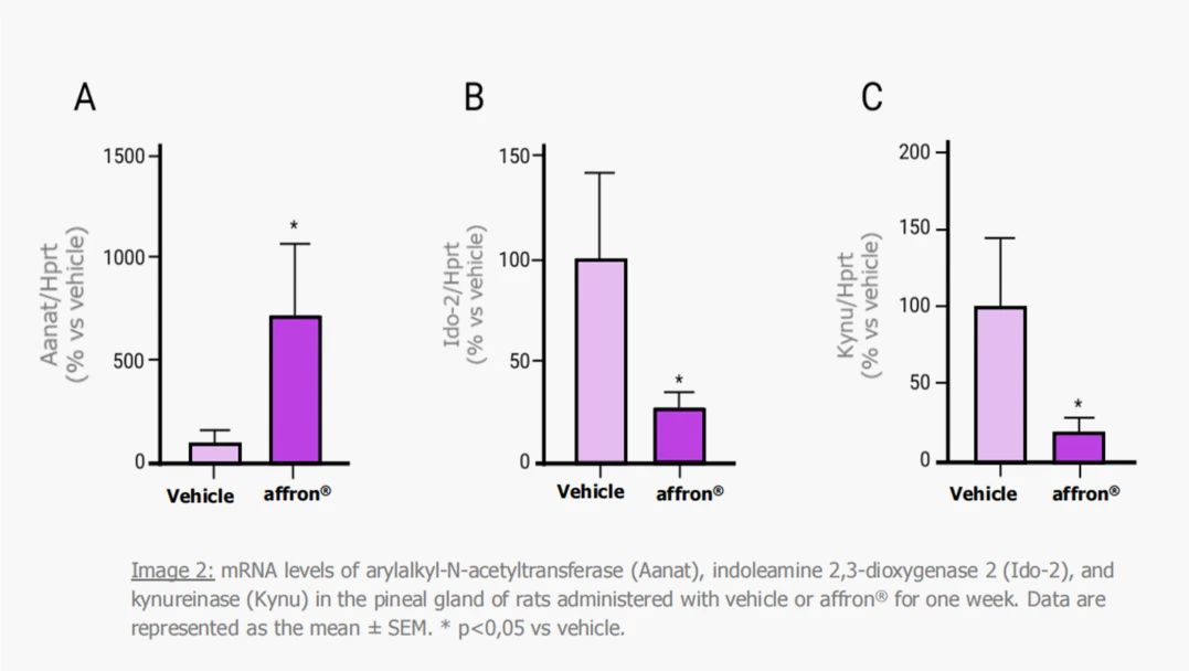 新研究|Affron®藏红花提取物有助于促进人体内天然褪黑素的产生(图3)