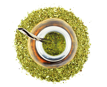 马黛茶提取物