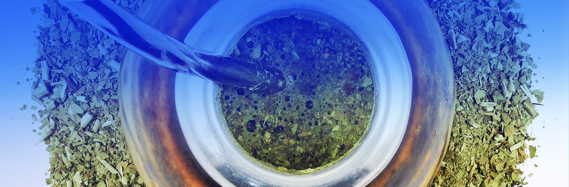 马黛茶提取物