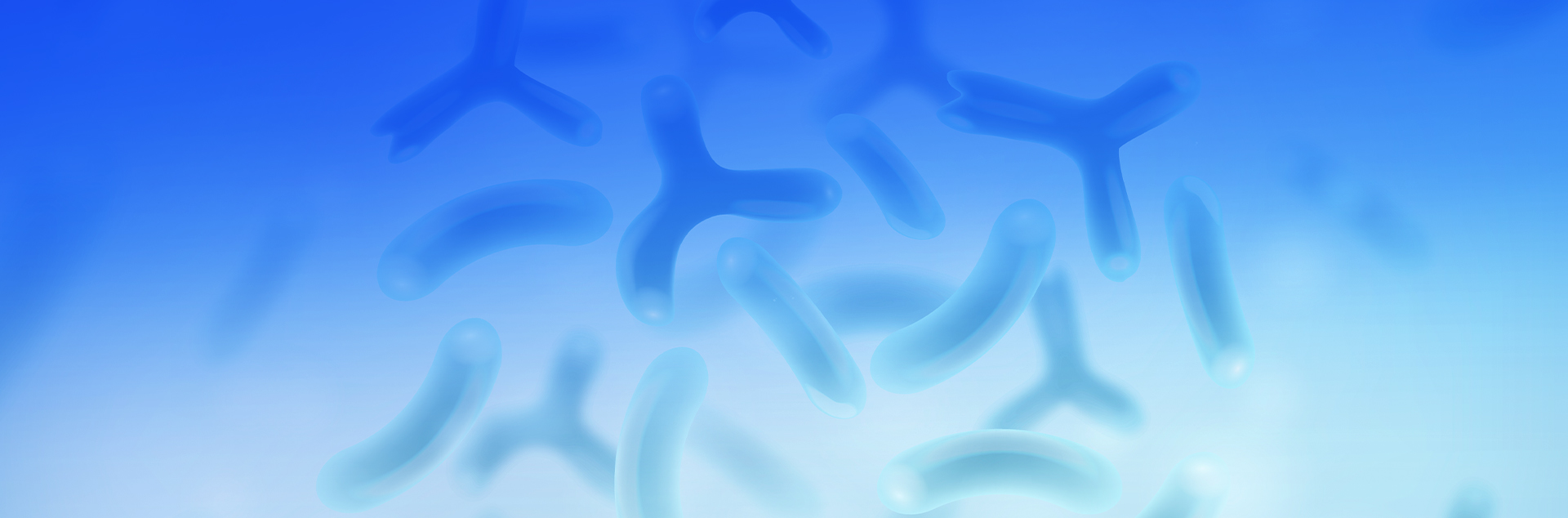 novonesis probiotics