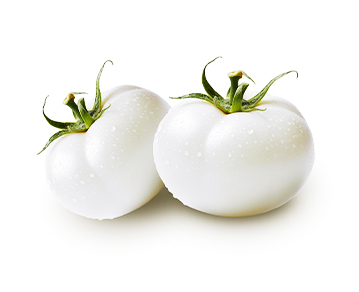 White Tomato Concentrate Powder