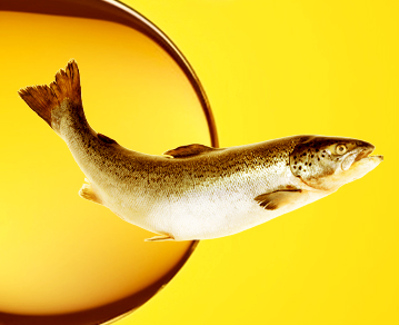 Salmon oil