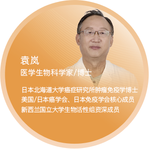 袁岚