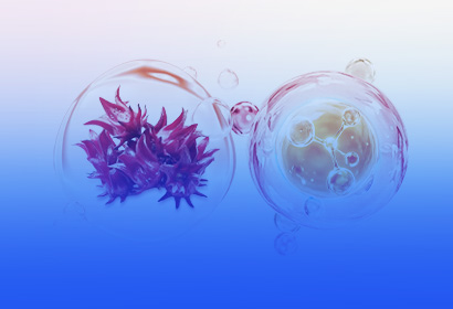 新原料VC-H1®：以「植物胶原蛋白肽」锁定口服美容下一代TOP1成分！