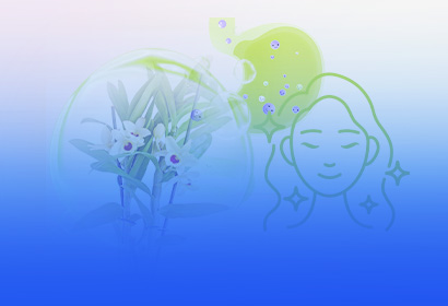 重磅新品「铁皮石斛浓浆」上市！抢占药食同源413亿高增长赛道！