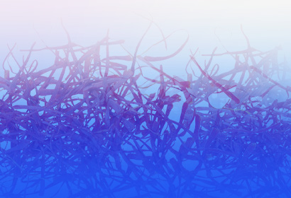 全球首个！Affron&reg; 荣膺亚洲最具权威性&ldquo;缓解压力&rdquo;功效认证！