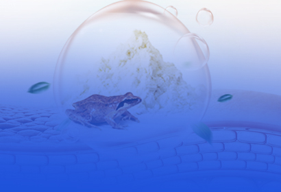 雪蛤低聚肽：从&ldquo;高端炖品&rdquo;到口服美容&ldquo;爆品成分&rdquo;的新蓝海！