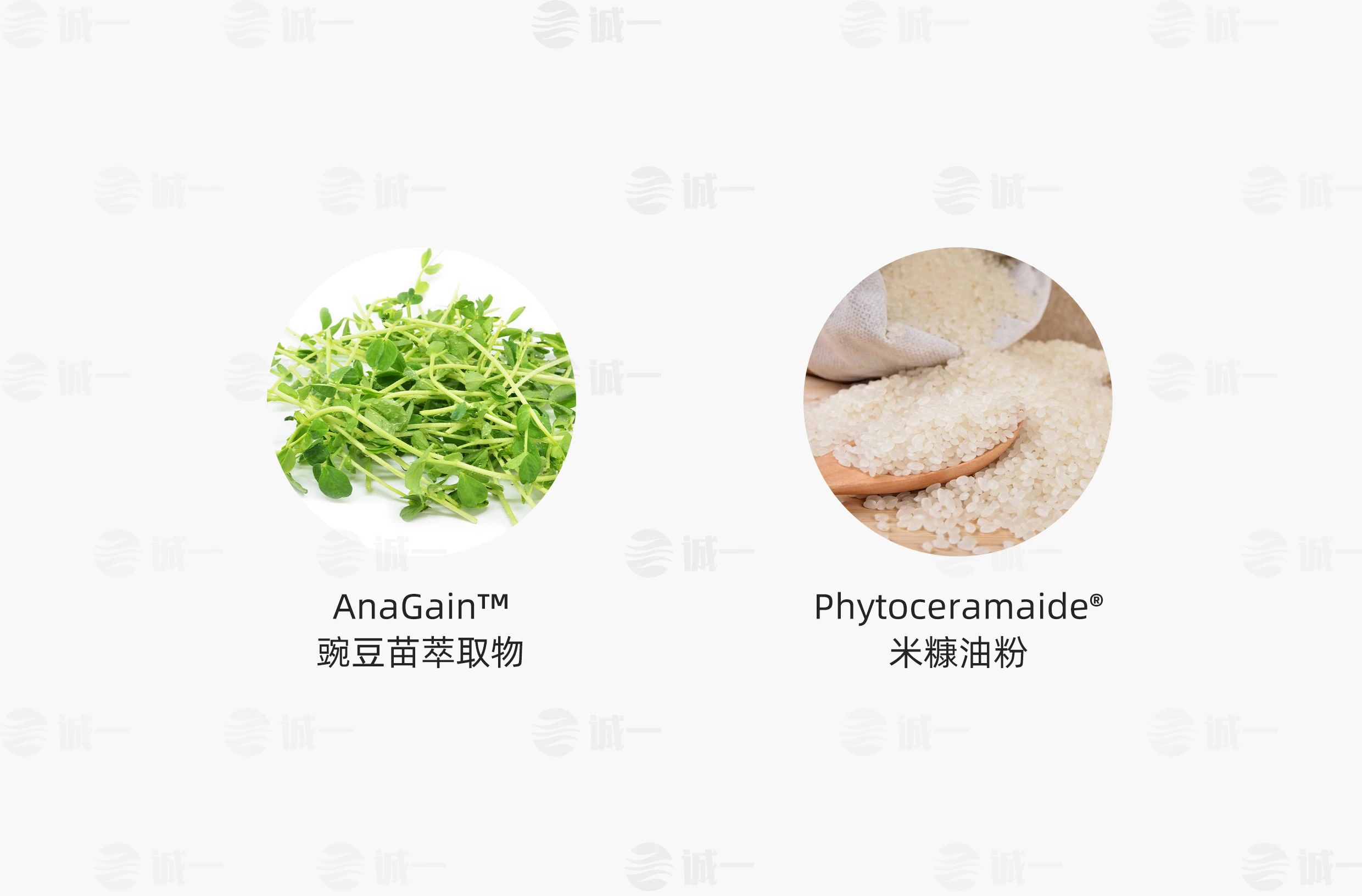 破防脱市场同质化套路，看小小豌豆苗如何拿捏2.5亿脱发人群！(图9)