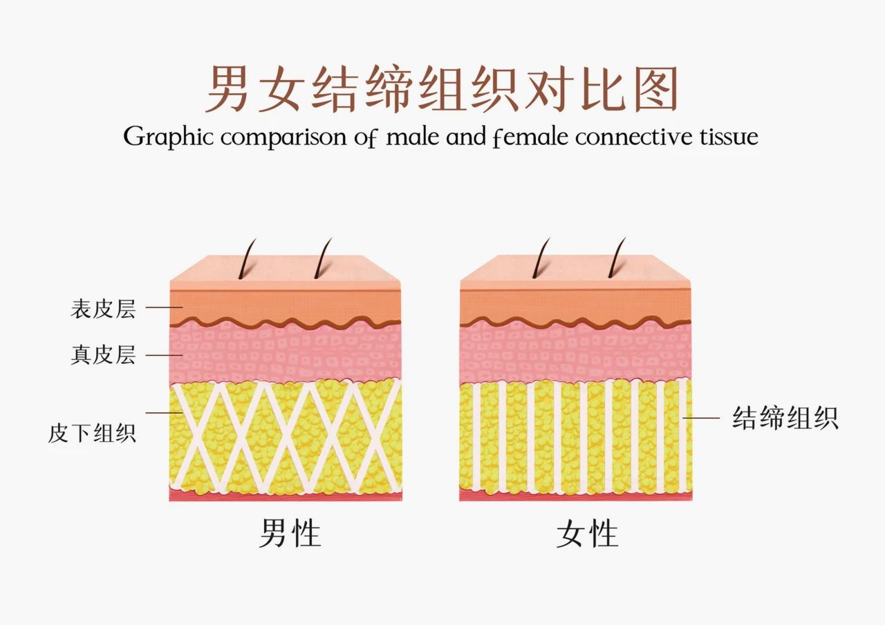 诚一重磅引进新型体控原料！(图3)