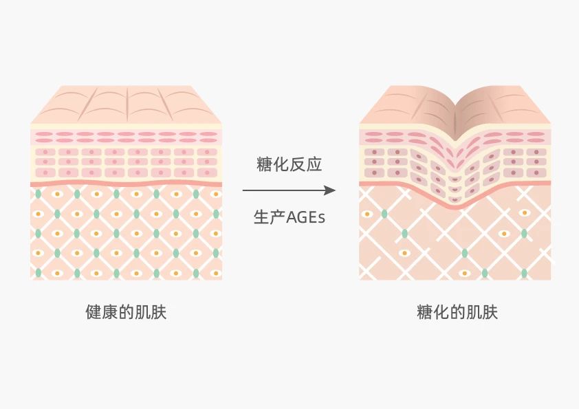 盘点诚一多向抗衰成分，全面开启口服抗衰赛道新解法！(图7)