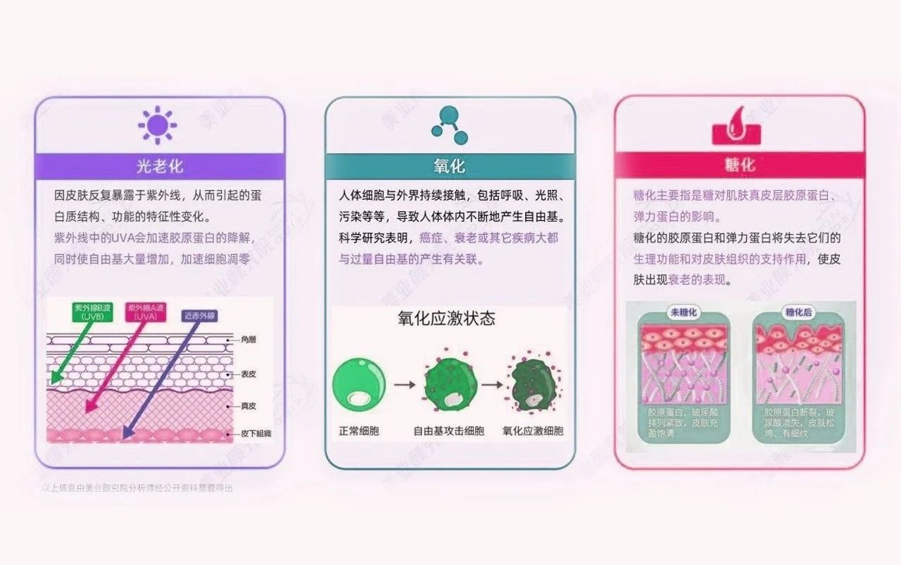 顶配科研背书，破译抗糖护肤增长密码！(图14)