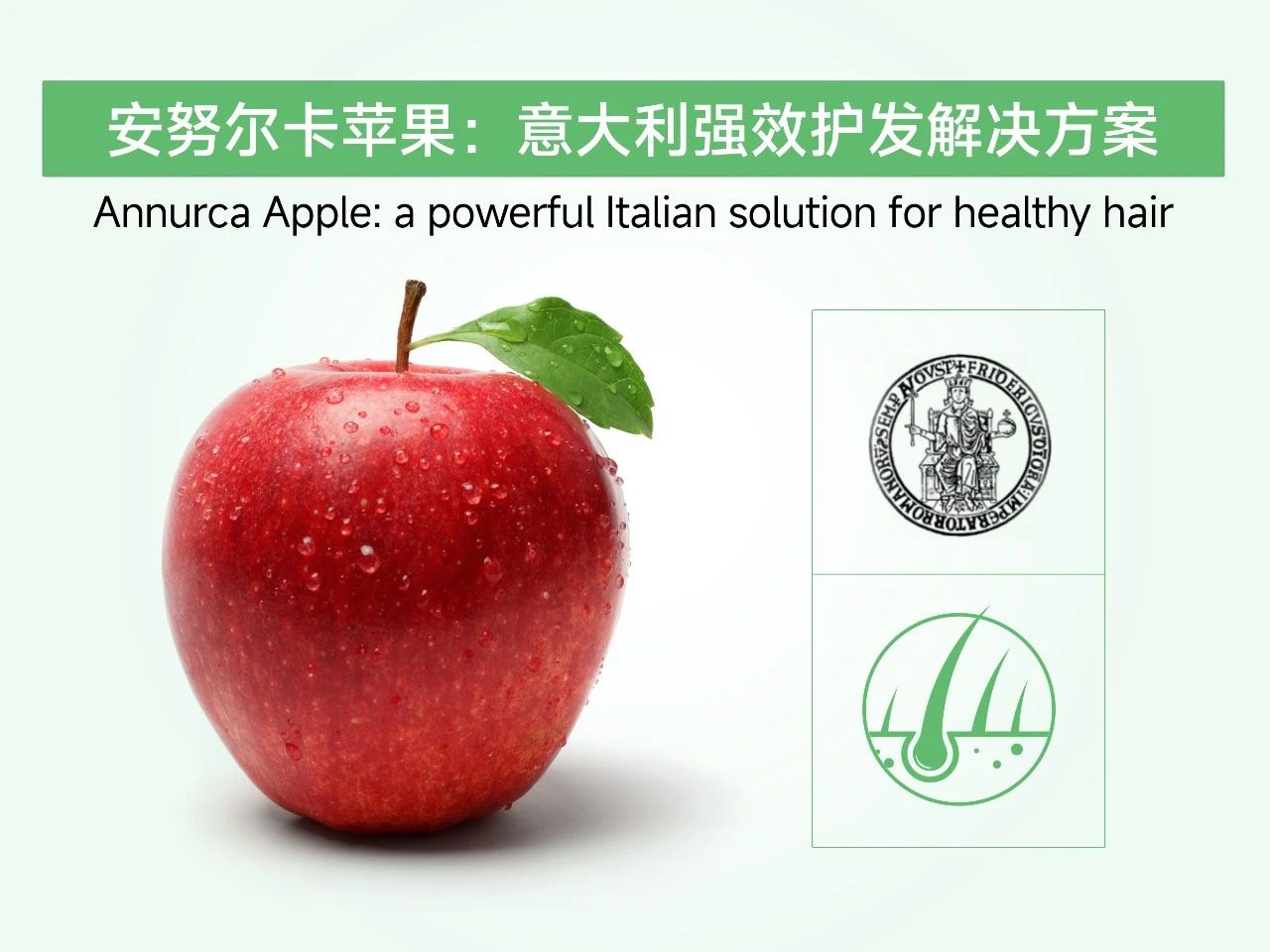 全球年度标杆原料上“新”，赋能品牌破圈增长！(图2)