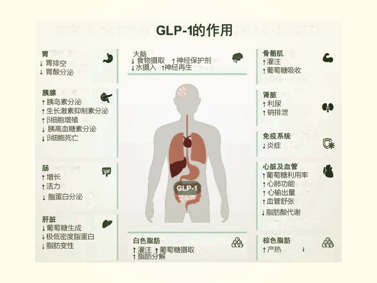 线上研讨会圆满收官 | 海外销冠成分，赋能药食同源行业“新”巨头崛起！(图4)