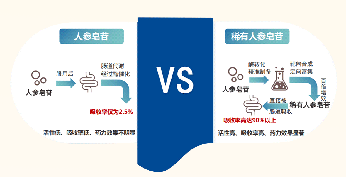 稀有人参皂苷2_02.gif
