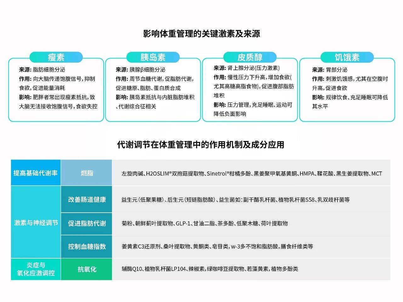 诚一体重管理新原料：Theolim®引爆“日均357大卡”代谢革命！(图3)
