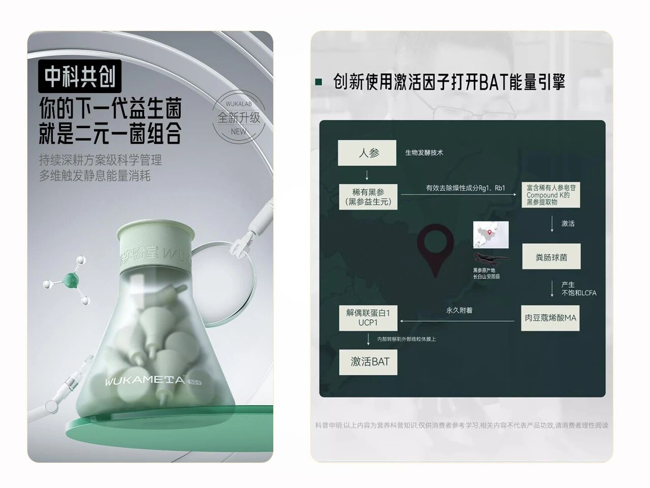 3200亿药食同源新风口：“人参+”激活体重管理赛道新增长！(图3)