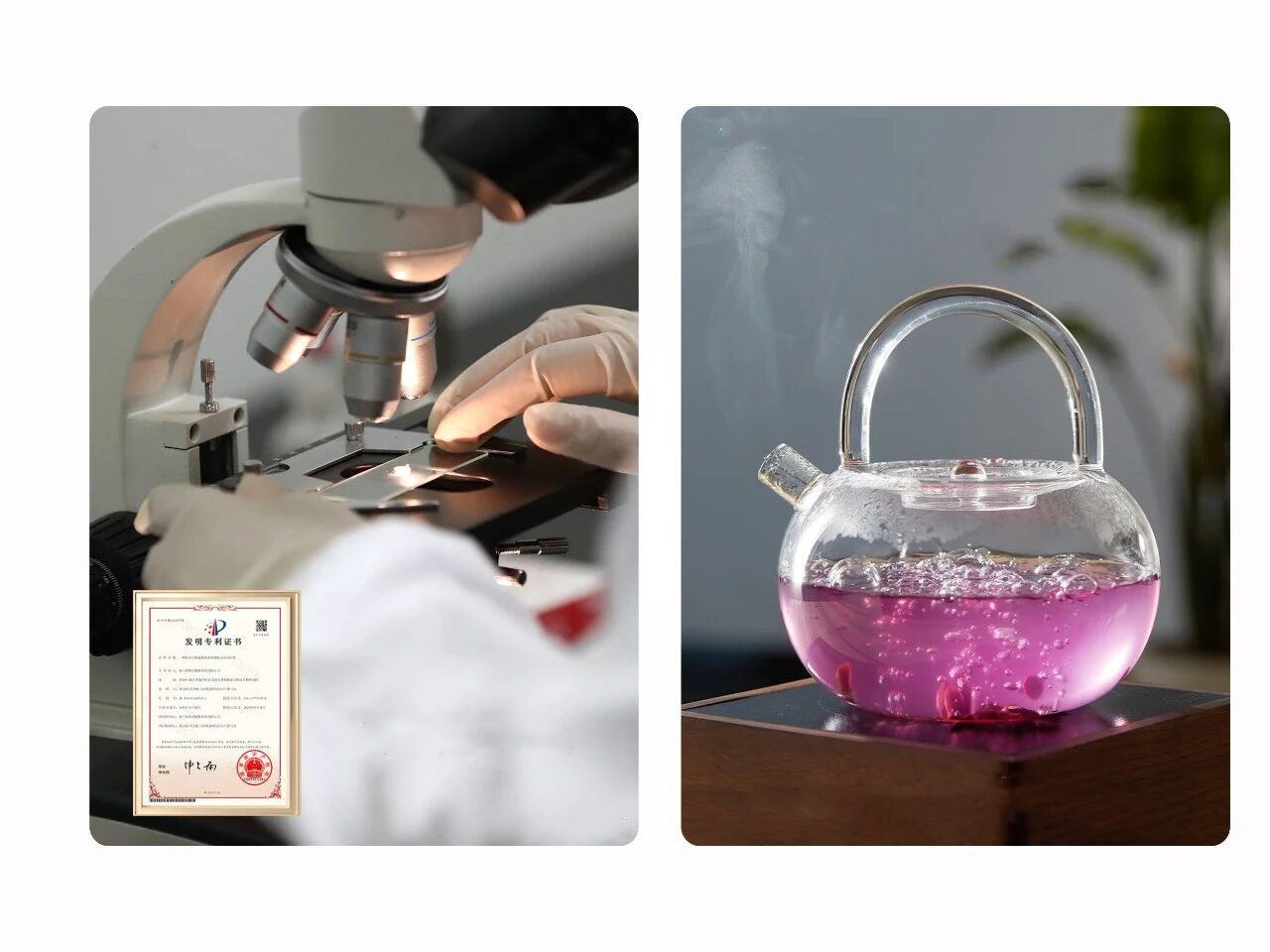 重磅新品「铁皮石斛浓浆」上市！抢占药食同源413亿高增长赛道！(图8)