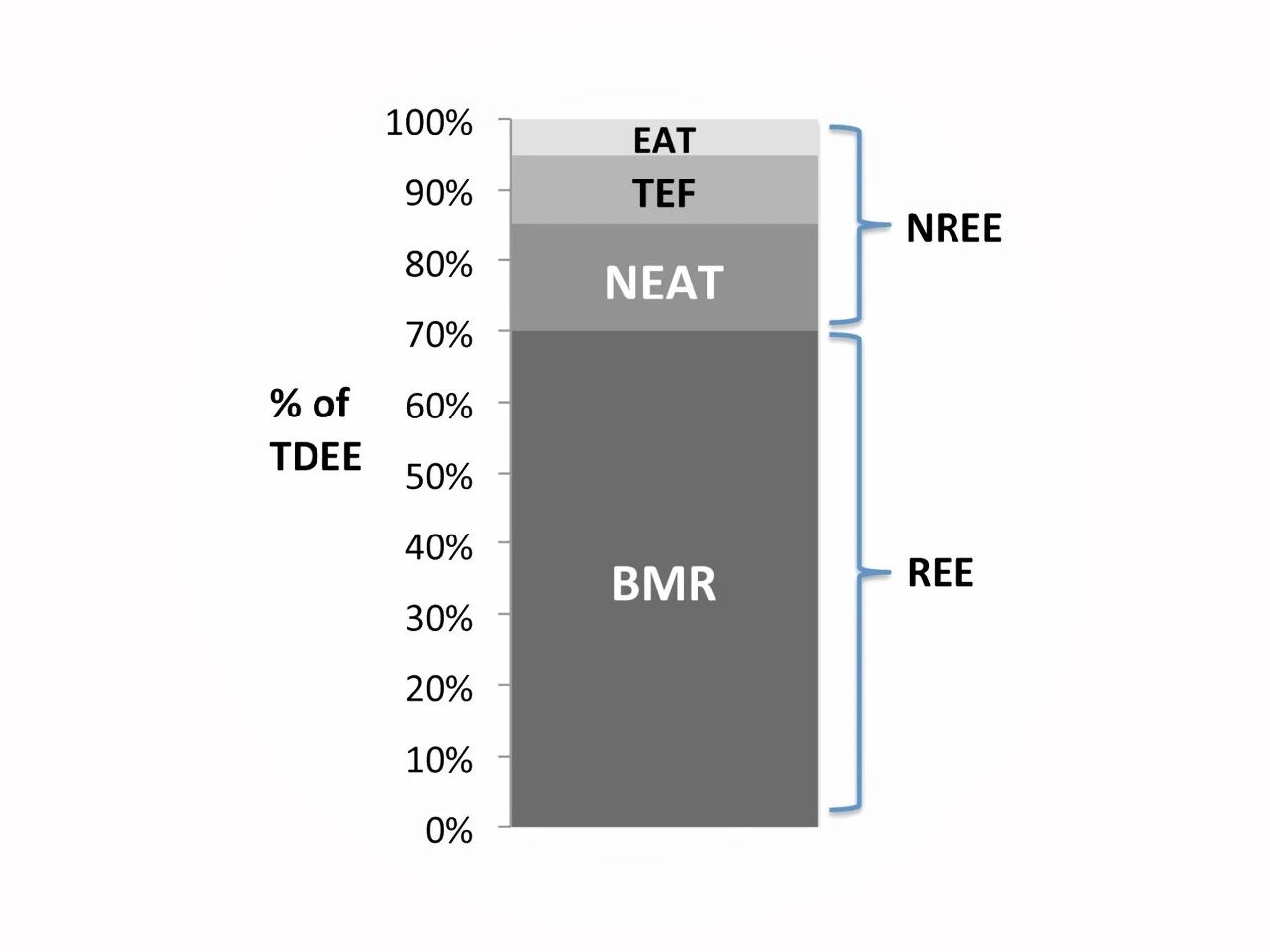 多燃357大卡“基础代谢”，掘金年增30%个性化体重管理新风口！(图8)