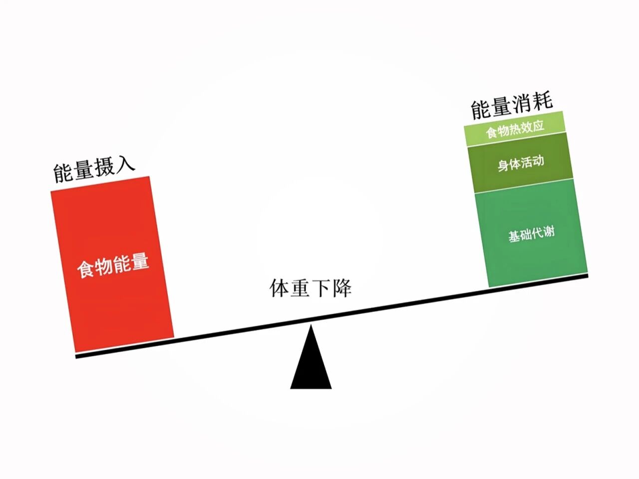 多燃357大卡“基础代谢”，掘金年增30%个性化体重管理新风口！(图7)