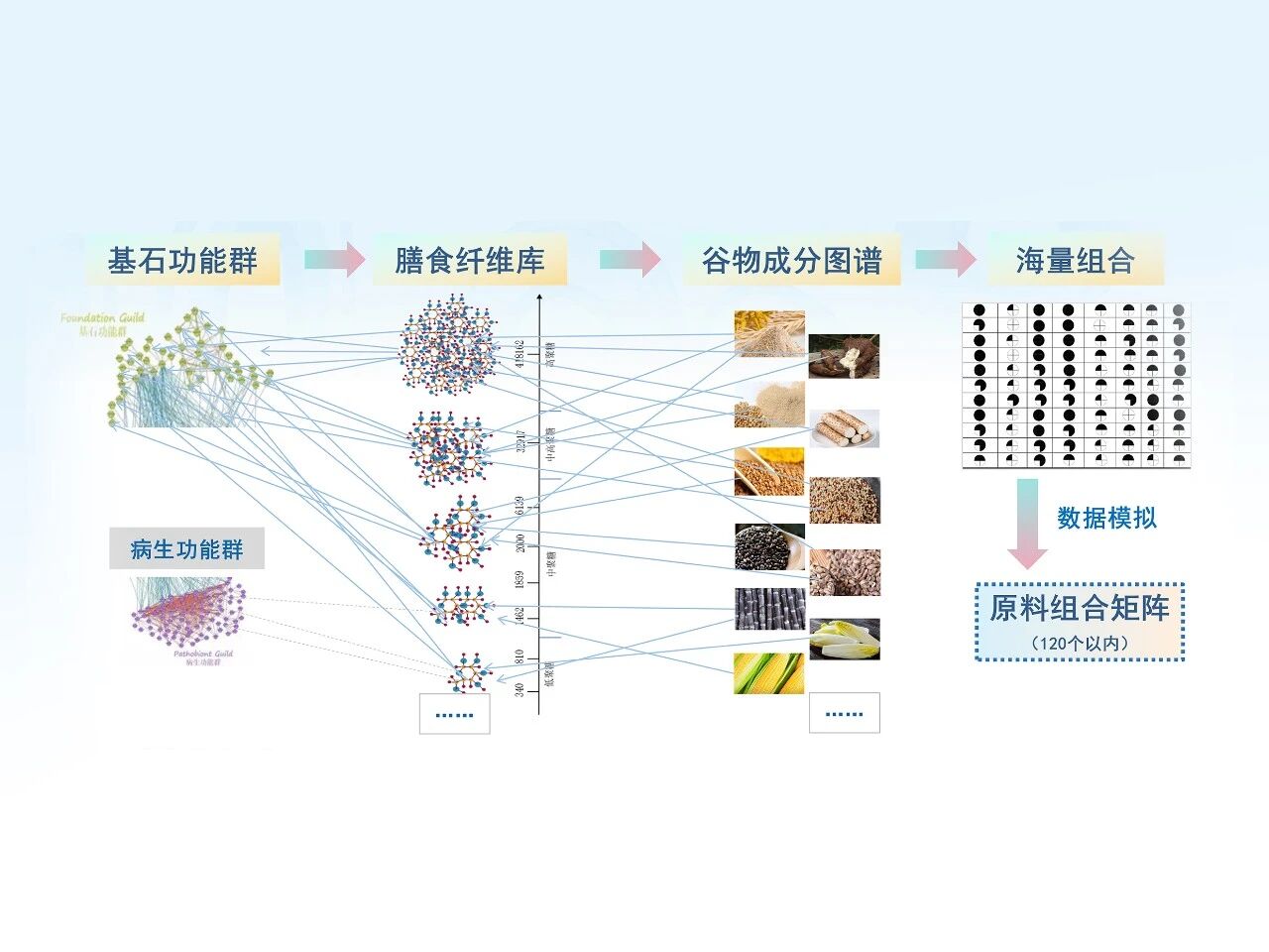 首度公开！怡微生®全球顶级研发体系：重构千亿肠道健康新版图！(图15)