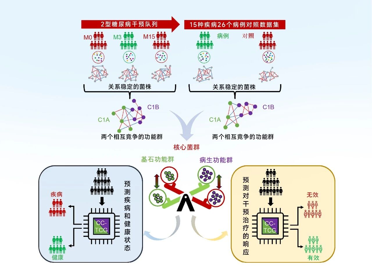 首度公开！怡微生®全球顶级研发体系：重构千亿肠道健康新版图！(图13)