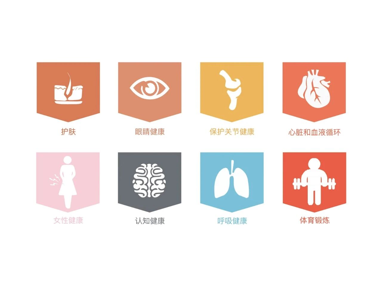 战略新原料:以500+科研文献,刷新600亿植提赛道“价值标杆”!(图12) 战略新原料:以500+科研文献,刷新600亿植提赛道“价值标杆”!(图12)