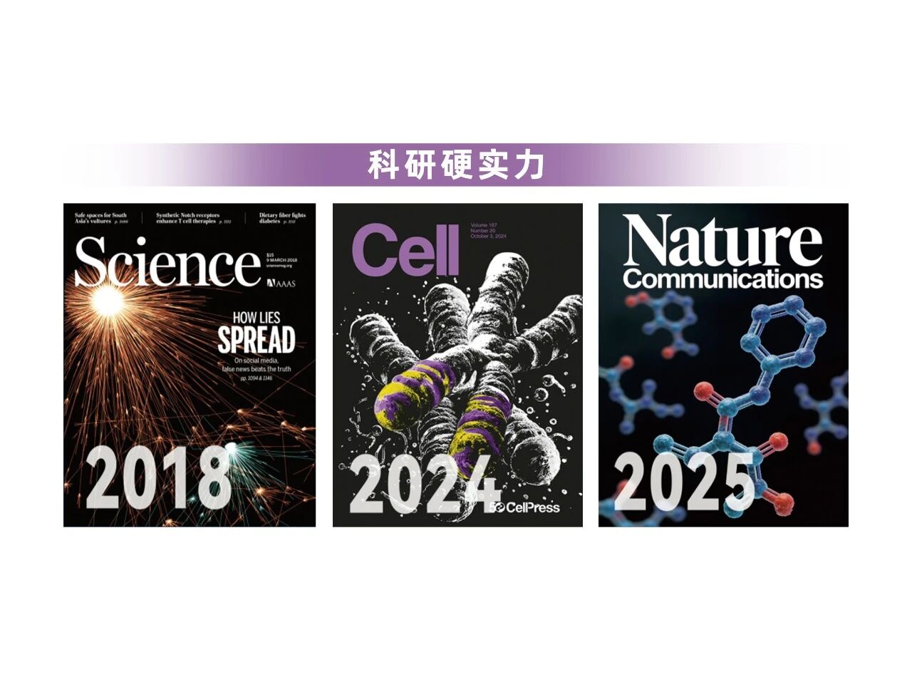 膳食纤维前沿研究荣登权威期刊！开辟2亿甲状腺炎人群干预新蓝海！(图9)