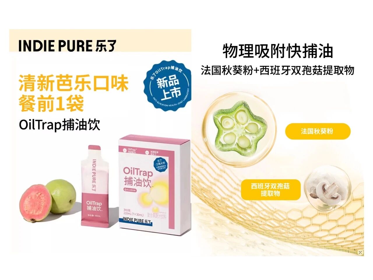 国际权威期刊认证!天然植提H2OSlim®点燃脂肪调控消费新风口!(图12) 国际权威期刊认证!天然植提H2OSlim®点燃脂肪调控消费新风口!(图12)
