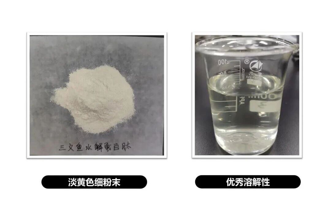 年增134%！蛋白饮赛道全面爆发，ProGo®成品牌竞争新筹码！(图12)