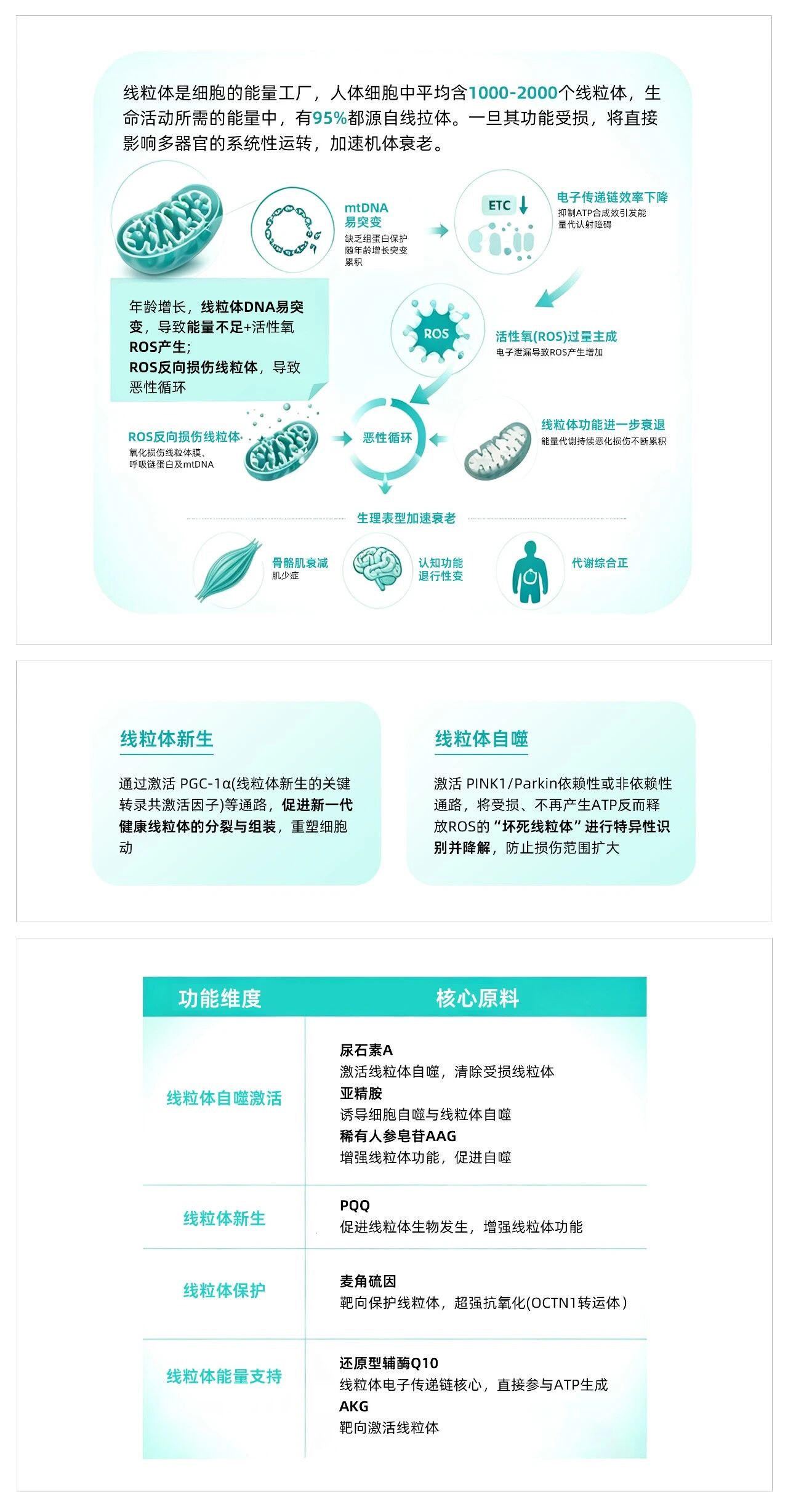 199%增速引爆抗衰新风口:七大靶向原料成品牌竞争新壁垒!(图4) 199%增速引爆抗衰新风口:七大靶向原料成品牌竞争新壁垒!(图4)