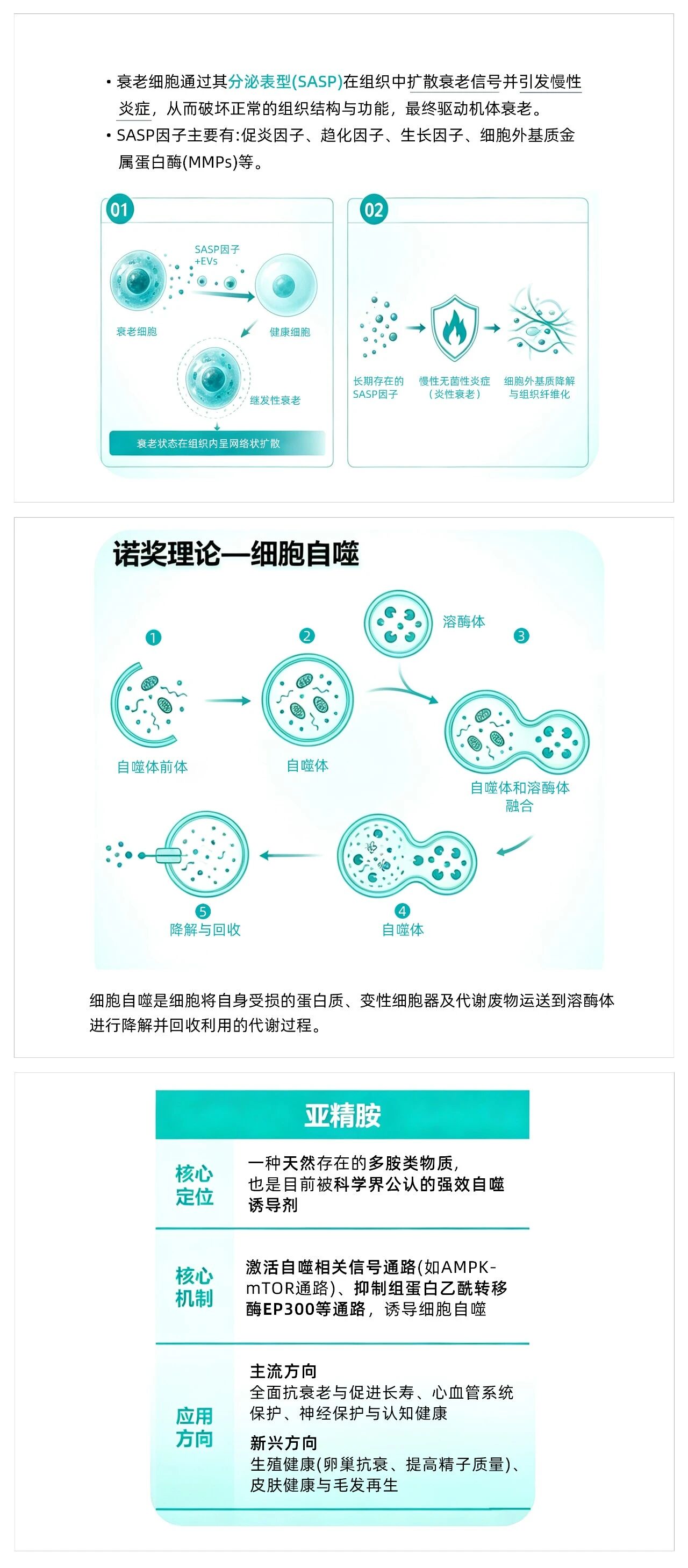 199%增速引爆抗衰新风口:七大靶向原料成品牌竞争新壁垒!(图3) 199%增速引爆抗衰新风口:七大靶向原料成品牌竞争新壁垒!(图3)