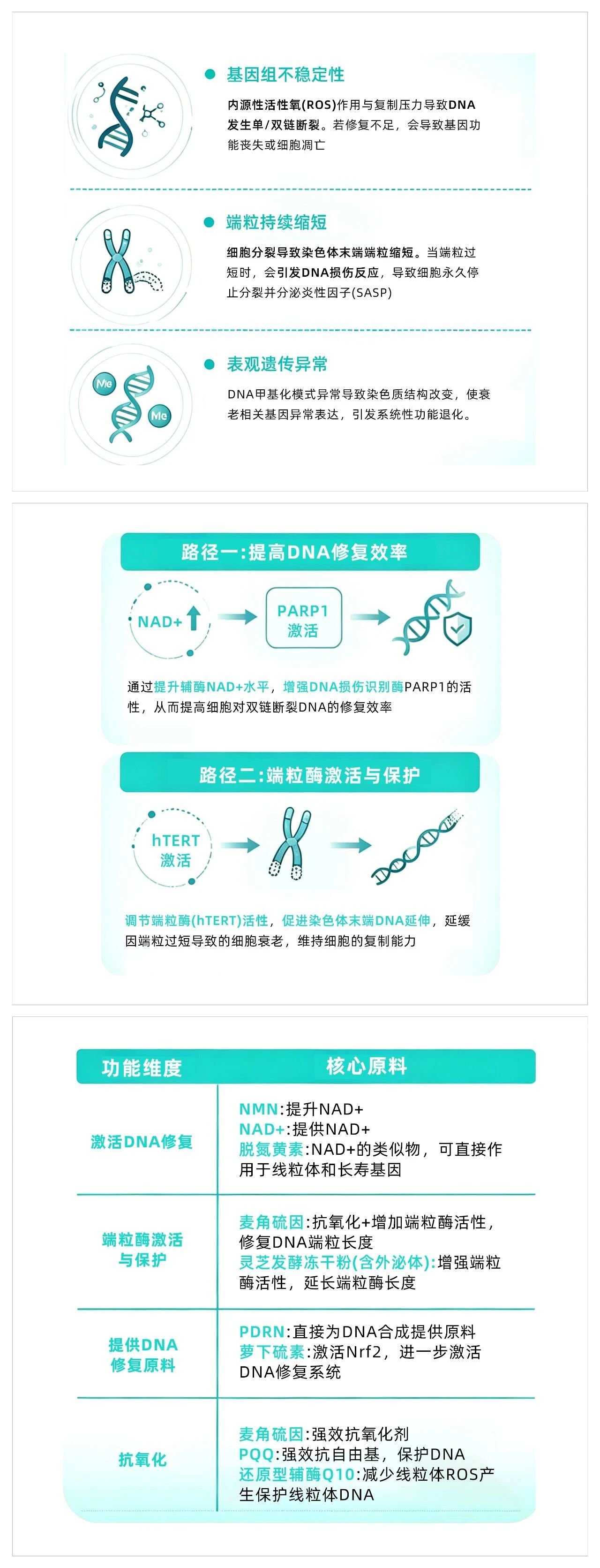 199%增速引爆抗衰新风口:七大靶向原料成品牌竞争新壁垒!(图5) 199%增速引爆抗衰新风口:七大靶向原料成品牌竞争新壁垒!(图5)
