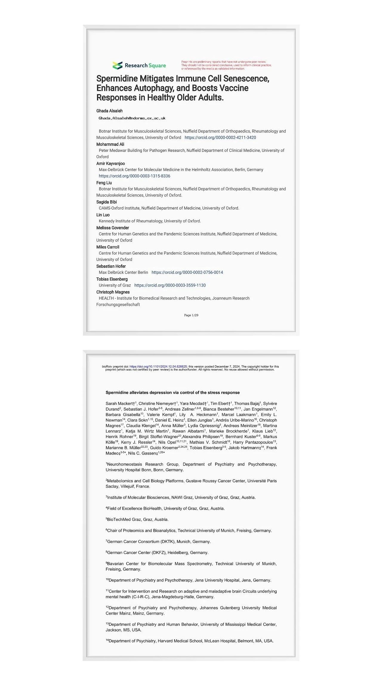 磅临床首发!亚精胺科研里程碑:牛津大学实证自噬抗衰功效!(图4) 磅临床首发!亚精胺科研里程碑:牛津大学实证自噬抗衰功效!(图4)