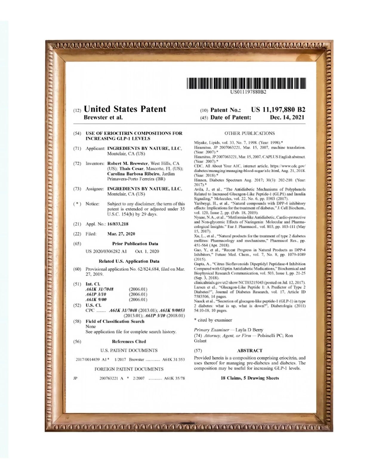新方案重磅首发:GLP-1千亿风口下,打造“不反弹”增长新支点!(图11) 新方案重磅首发:GLP-1千亿风口下,打造“不反弹”增长新支点!(图11)