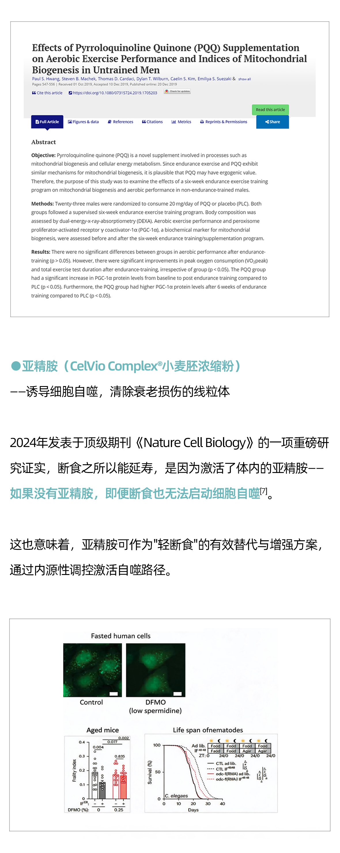 代谢元气粉方案02_03.jpg