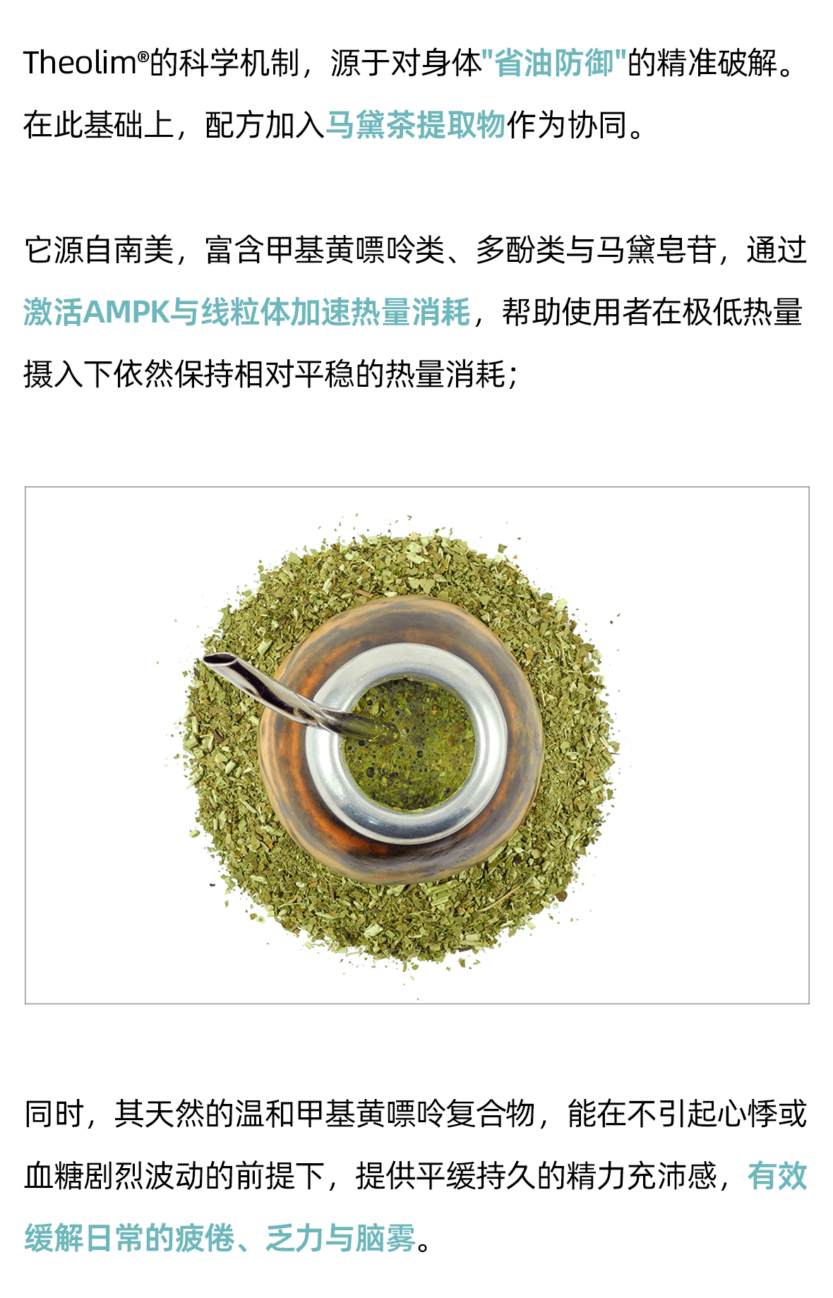代谢元气粉方案02_08.jpg