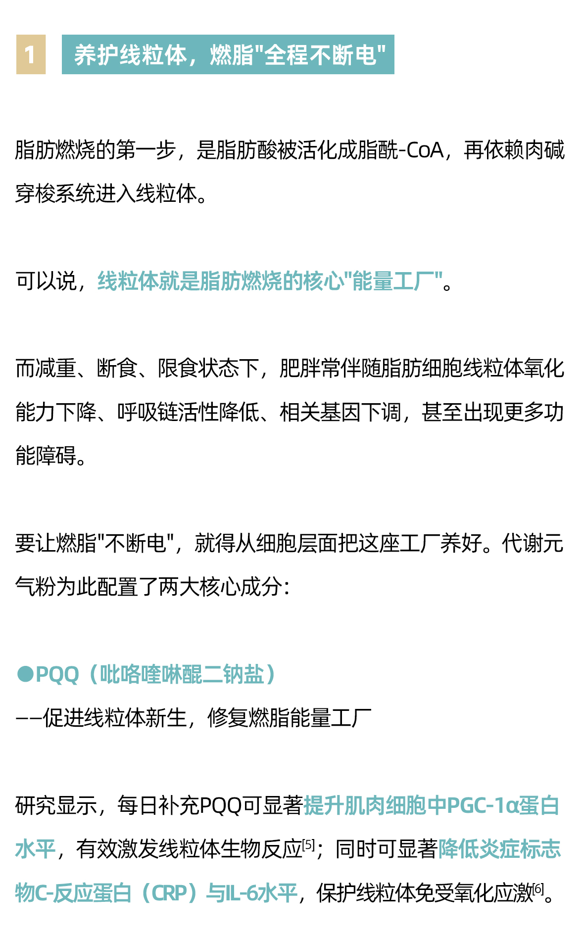 代谢元气粉方案02_02.jpg