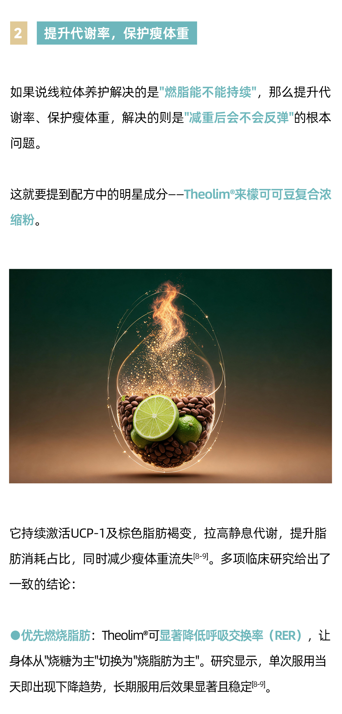 代谢元气粉方案02_04.jpg