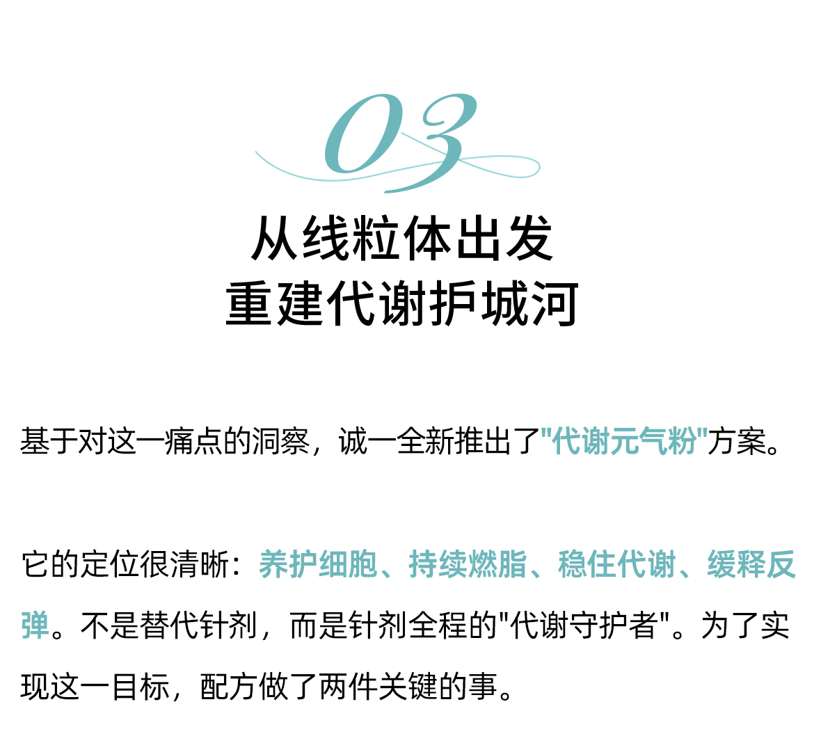 代谢元气粉方案02_01.jpg