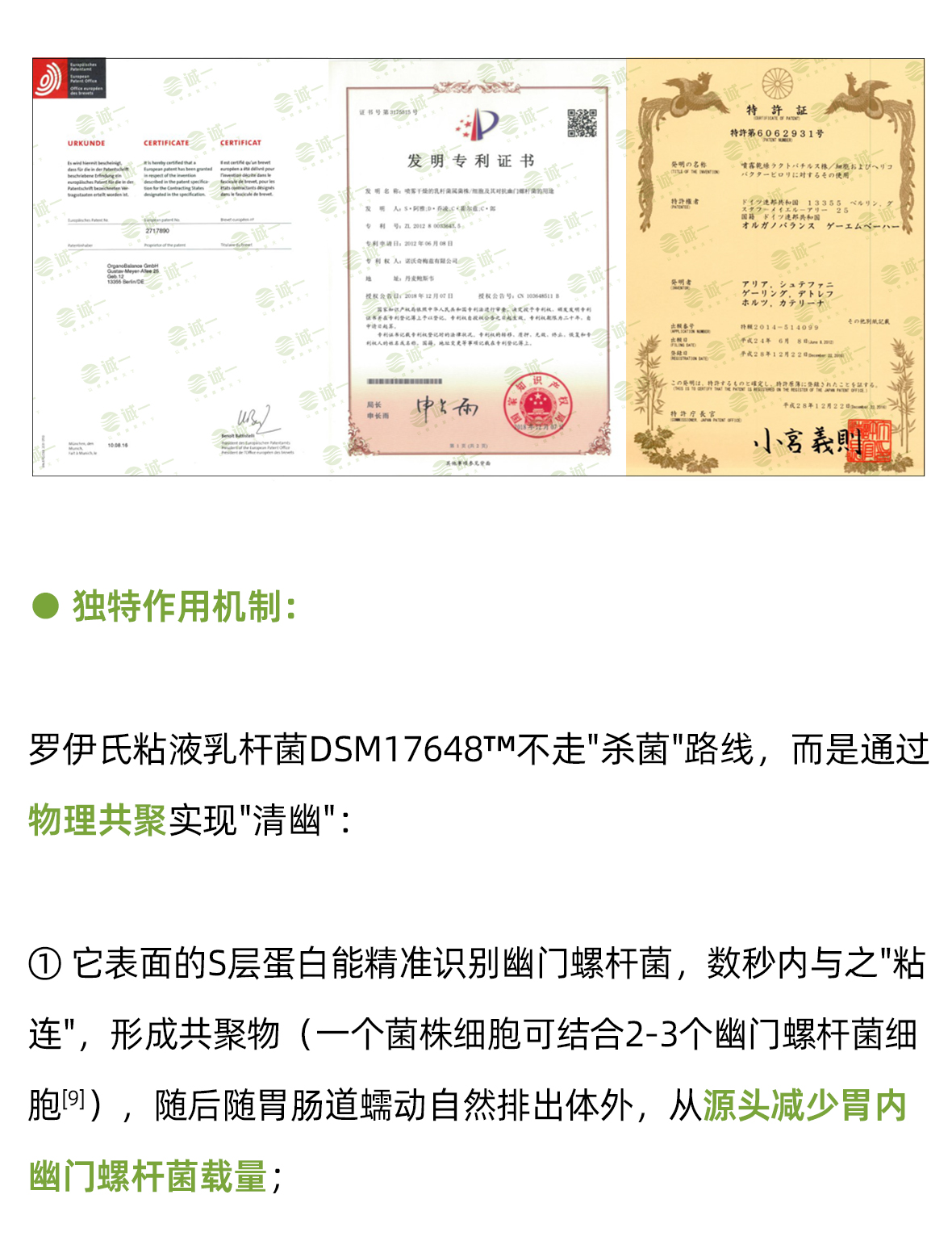 清幽护胃咀嚼片01-_05.jpg