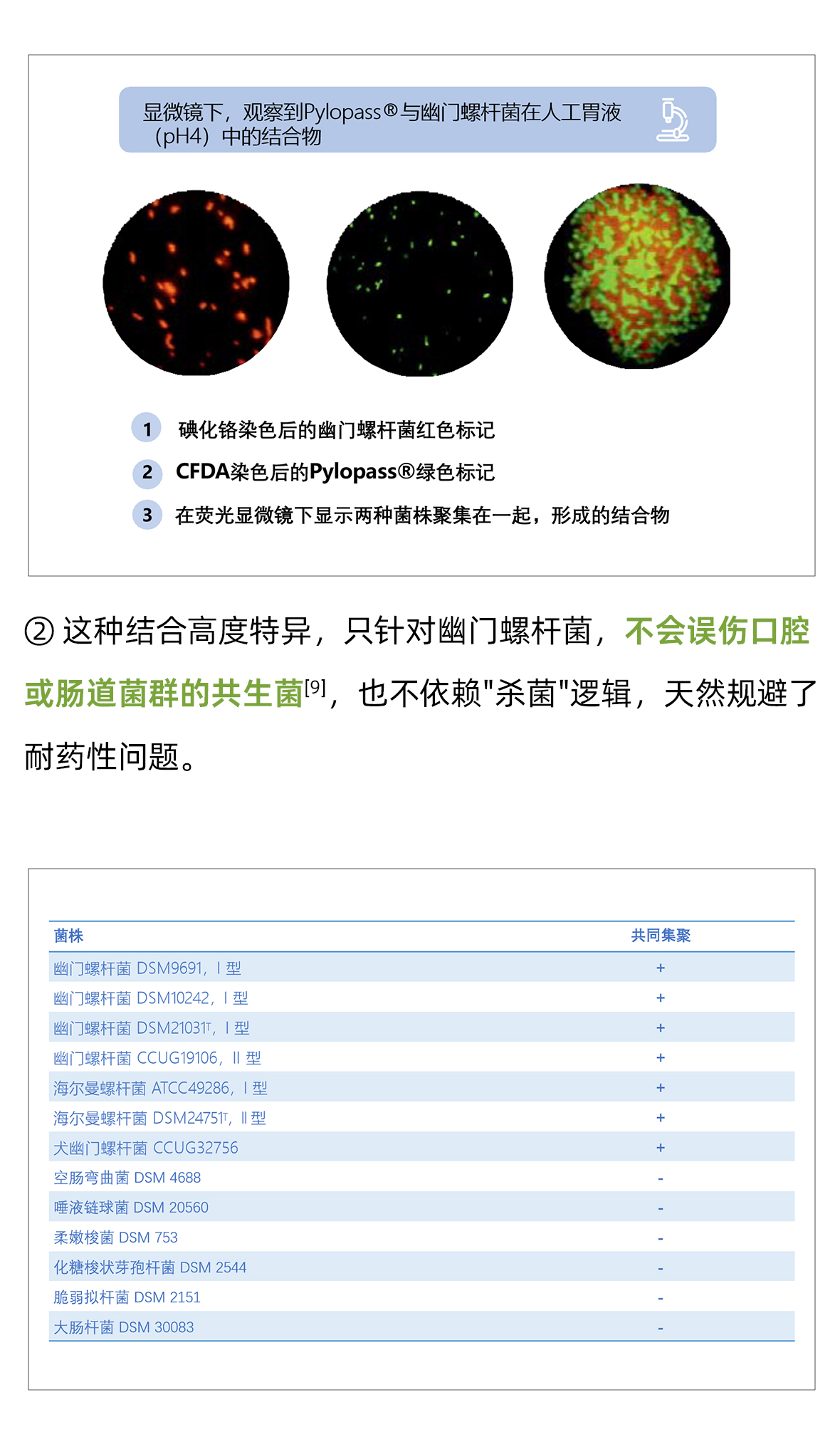 清幽护胃咀嚼片01-_06.jpg