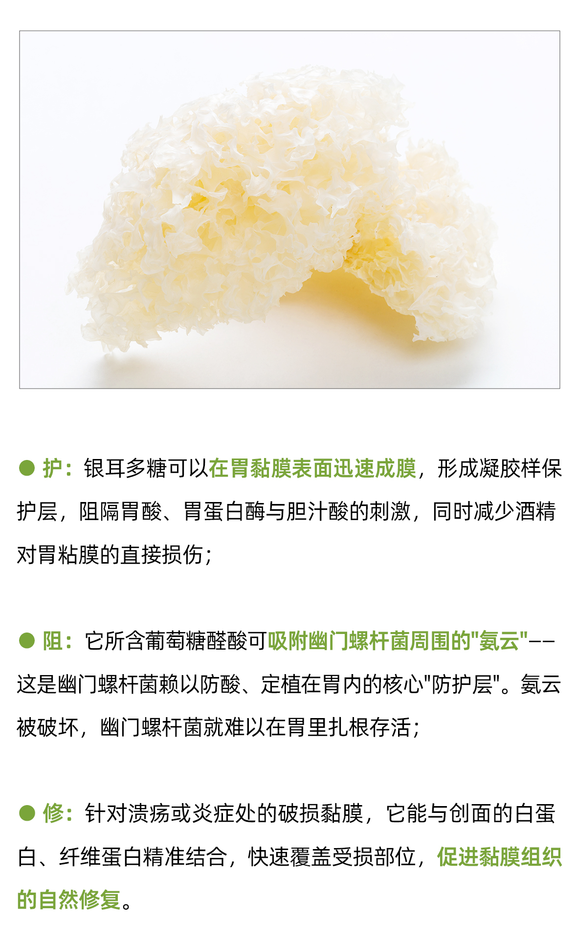 清幽护胃咀嚼片01-_09.jpg